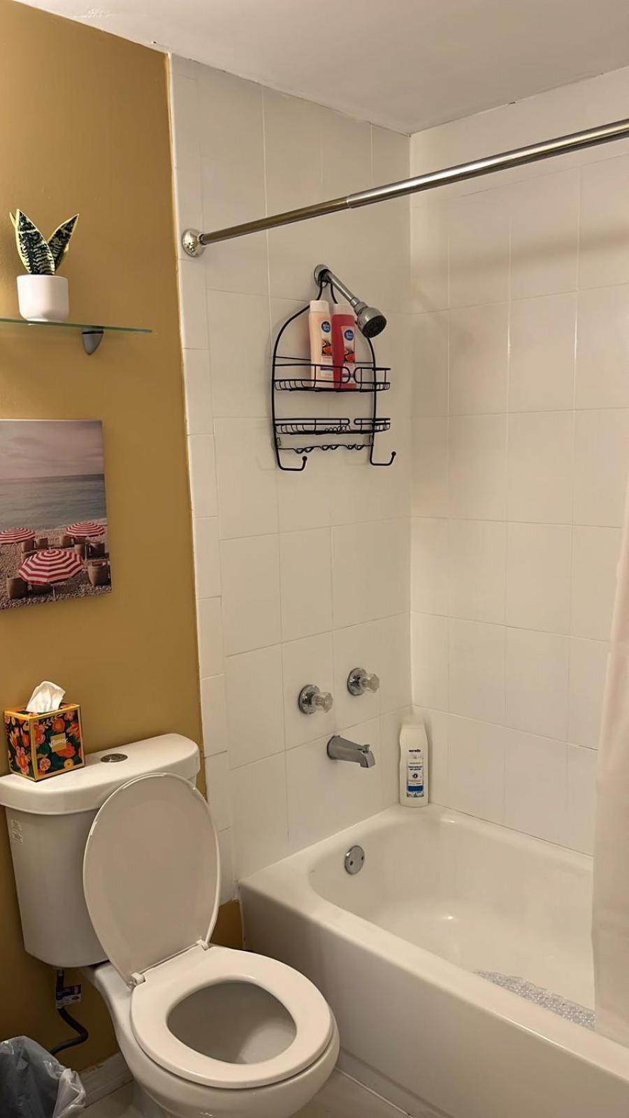 Beautiful, Fully Furnished 4Bed 2Bath House - 5 Minute Walk To Miracle Mile Downtown Coral Gables Villa Miami Luaran gambar